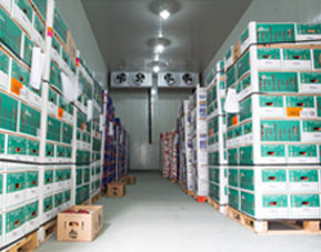 專(zhuān)注制冷工程