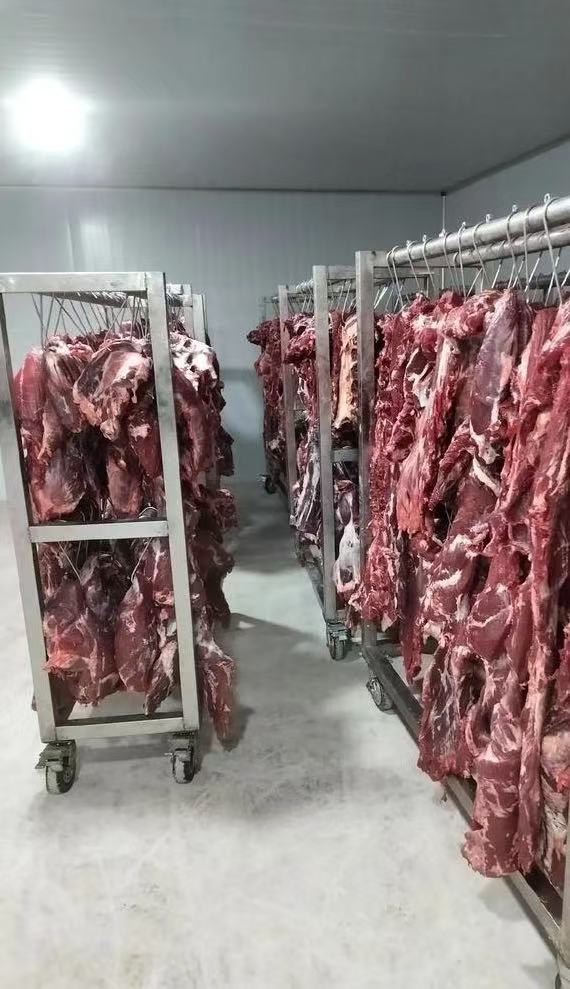 為客戶打造一個高標準的大肉（通常指豬、牛、羊等畜肉）冷藏庫，需要從保障肉質(zhì)和食品安全等多個維度進行考量。以下是一份詳細的注意事項和建設(shè)要點